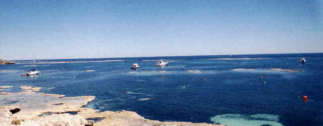 Rottnest Island 2